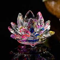 FLOR DE LOTUS COLORIDO 30# - 7853002